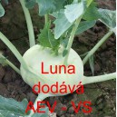 Kedluben b&iacute;l&yacute; Luna