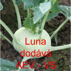 Kedluben b&iacute;l&yacute; Luna