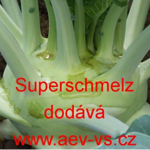 Kedluben b&iacute;l&yacute; Superschmelz