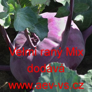 Kedluben modr&yacute; velmi ran&yacute;  - ran&yacute; CZ Mix