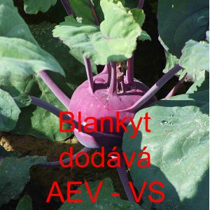 Kedluben modr&yacute; Blankyt