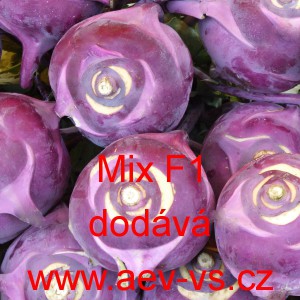 Kedluben modr&yacute; hybridn&iacute; velmi ran&yacute; - poloran&yacute; F1 Mix