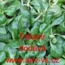 Kozl&iacute;ček poln&iacute;ček Palace