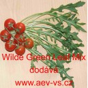 Křez tenkolist&yacute; Wilde Green Leaf Mix