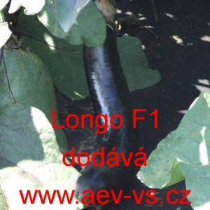 Lilek vejcoplod&yacute; baklaž&aacute;n hybridn&iacute; Longo F1