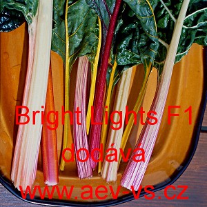 Mangold hybridn&iacute; Bright Lights F1