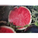 Meloun vodn&iacute; hybridn&iacute; Amaltea F1 Novinka