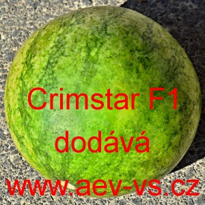 Meloun vodn&iacute; hybridn&iacute; Crimstar F1