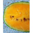 Meloun vodn&iacute; Janosik