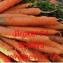 Mrkev obecn&aacute; hybridn&iacute; Broker F1