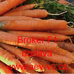 Mrkev obecn&aacute; hybridn&iacute; Broker F1