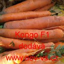 Mrkev obecn&aacute; hybridn&iacute; Kongo F1