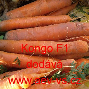 Mrkev obecn&aacute; hybridn&iacute; Kongo F1