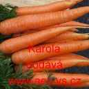 Mrkev obecn&aacute; Karola
