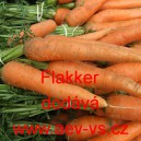 Mrkev obecn&aacute; Flakker