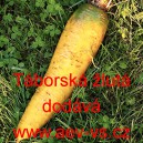 Mrkev krmn&aacute; T&aacute;borsk&aacute; žlut&aacute;