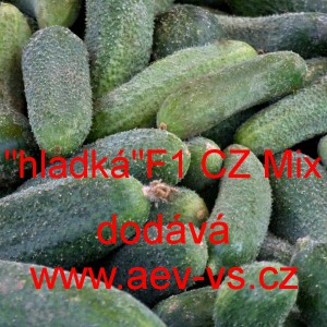 Okurka set&aacute; nakl&aacute;dačka hybridn&iacute; "hladk&aacute;" F1 CZ Mix