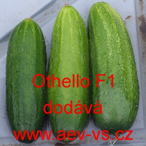 Okurka set&aacute; nakl&aacute;dačka hybridn&iacute; Othello F1