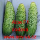 Okurka set&aacute; nakl&aacute;dačka hybridn&iacute; Aloe F1