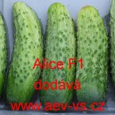 Okurka set&aacute; nakl&aacute;dačka hybridn&iacute; Alice F1