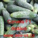 Okurka set&aacute; nakl&aacute;dačka hybridn&iacute; Corveta F1