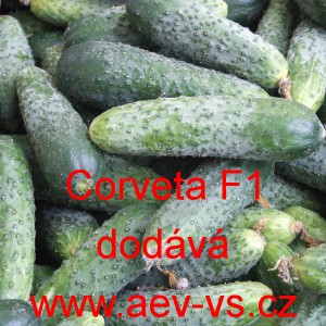 Okurka set&aacute; nakl&aacute;dačka hybridn&iacute; Corveta F1