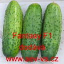 Okurka set&aacute; nakl&aacute;dačka hybridn&iacute; Fantasy F1