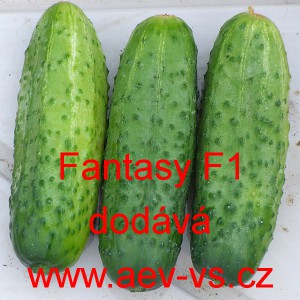 Okurka set&aacute; nakl&aacute;dačka hybridn&iacute; Fantasy F1