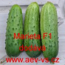 Okurka set&aacute; nakl&aacute;dačka hybridn&iacute; Marieta F1
