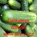 Okurka set&aacute; sal&aacute;tov&aacute; Delikatess
