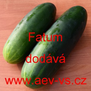 Okurka set&aacute; sal&aacute;tov&aacute; Fatum