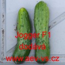 Okurka set&aacute; sal&aacute;tov&aacute; hybridn&iacute; Jogger F1