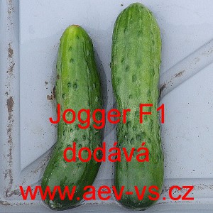 Okurka set&aacute; sal&aacute;tov&aacute; hybridn&iacute; Jogger F1