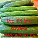 Okurka set&aacute; sal&aacute;tov&aacute; hybridn&iacute; "hadovka" do sklen&iacute;ku Midi F1 Mix