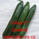 Okurka set&aacute; sal&aacute;tov&aacute; hybridn&iacute; "hadovka" do sklen&iacute;ku Vista F1