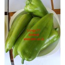 Paprika ročn&iacute; zeleninov&aacute; hybridn&iacute; Lungy F1