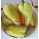 Paprika ročn&iacute; zeleninov&aacute; Amy