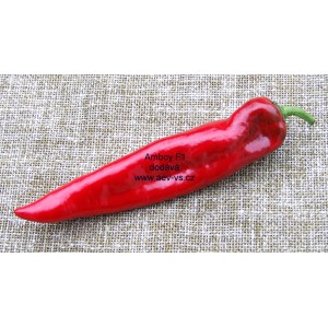 Paprika ročn&iacute; zeleninov&aacute; hybridn&iacute; p&aacute;liv&aacute; Amboy F1