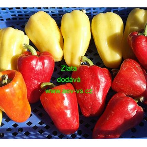 Paprika ročn&iacute; zeleninov&aacute; Zlata