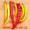 Paprika ročn&iacute; zeleninov&aacute; Beran&iacute; roh do sklen&iacute;ku CZ Mix