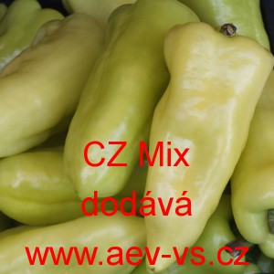 Paprika ročn&iacute; zeleninov&aacute; p&aacute;liv&aacute; CZ Mix