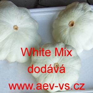 Patizon (Tykev obecn&aacute;) White Mix