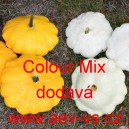 Patizon (Tykev obecn&aacute;) Colour Mix
