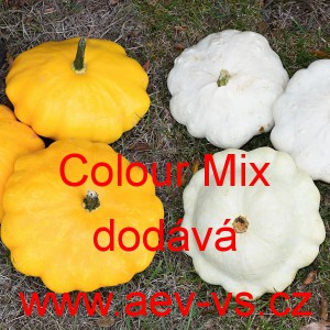 Patizon (Tykev obecn&aacute;) Colour Mix