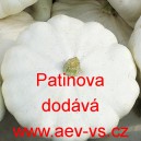 Patizon (tykev obecn&aacute;) Patinova