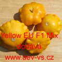 Patizon (Tykev obecn&aacute;) hybridn&iacute; Yellow EU F1 Mix