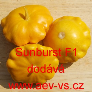 Patizon (tykev obecn&aacute;) hybridn&iacute; Sunburst F1