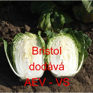 Pekingsk&eacute; zel&iacute; Bristol