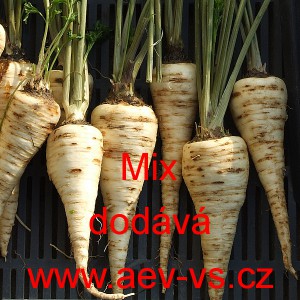 Petržel kořenov&aacute; Mix