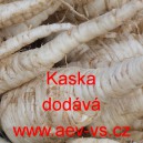 Petržel kořenov&aacute; Kaska